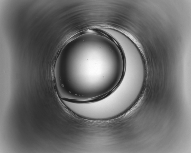 X0000093740905200710161137