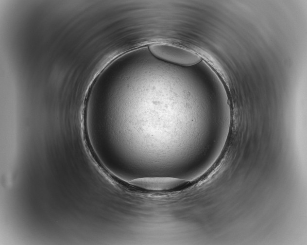 X0000093740906200710161137