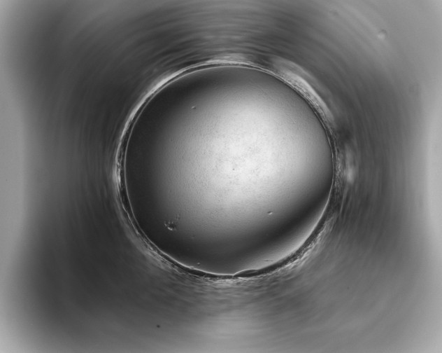 X0000093740908200710161136