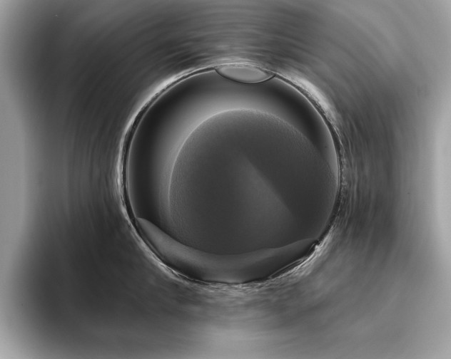 X0000093740910200710161136