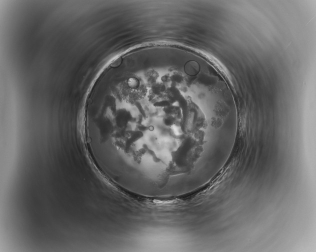X0000093740911200710161136