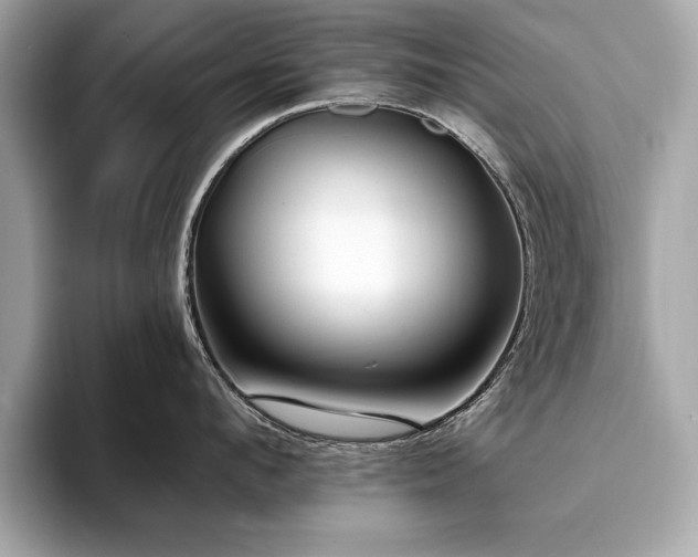 X0000093740912200710161136