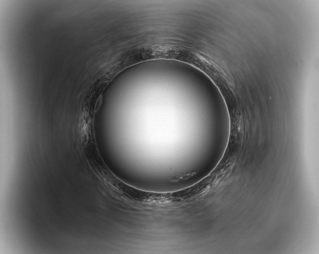 X0000093740914200710161136