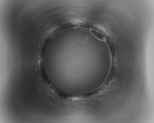 X0000093740917200710161136