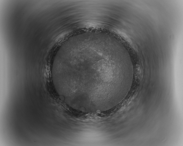 X0000093740918200710161136