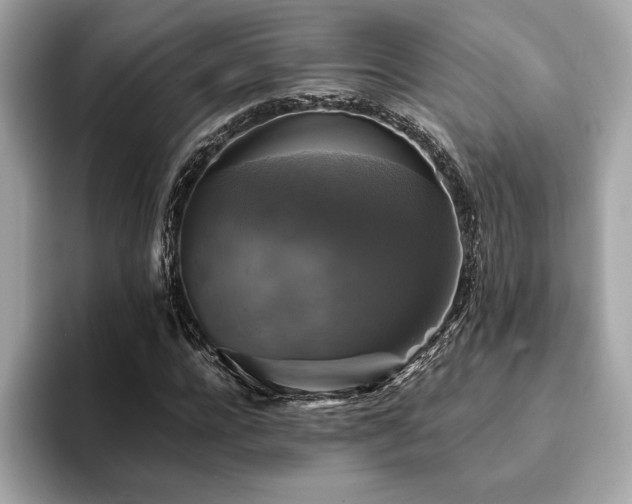 X0000093740920200710161136