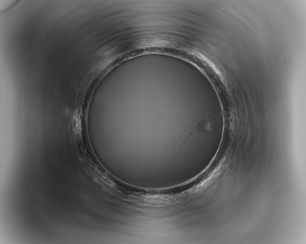 X0000093740921200710161136