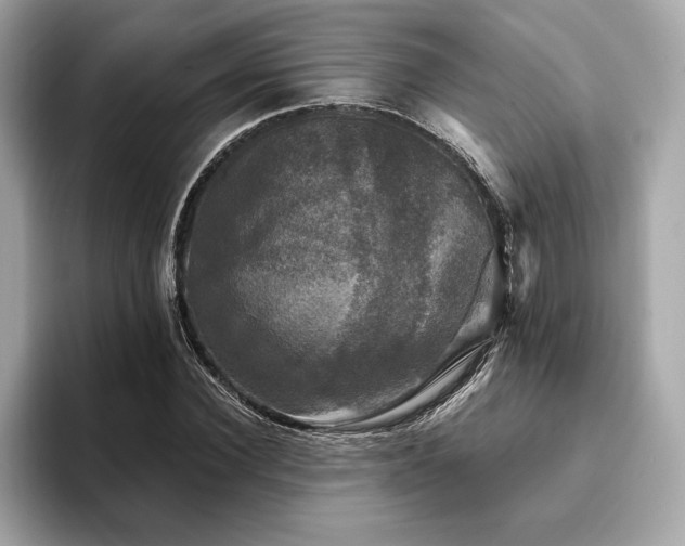 X0000093740924200710161136