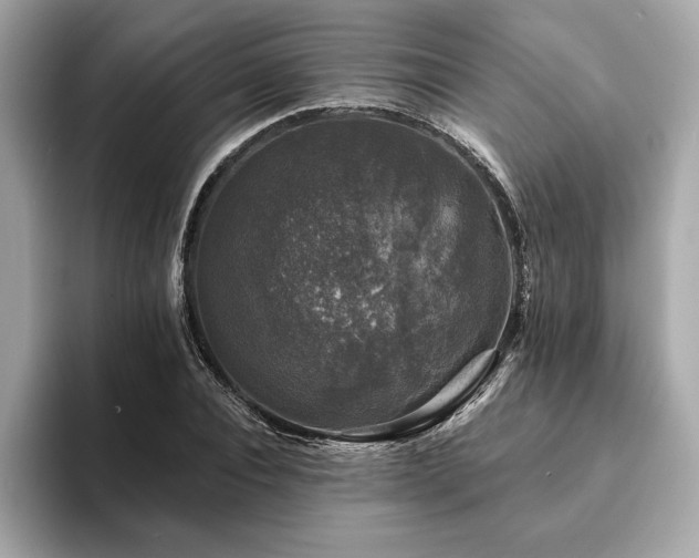 X0000093740928200710161136