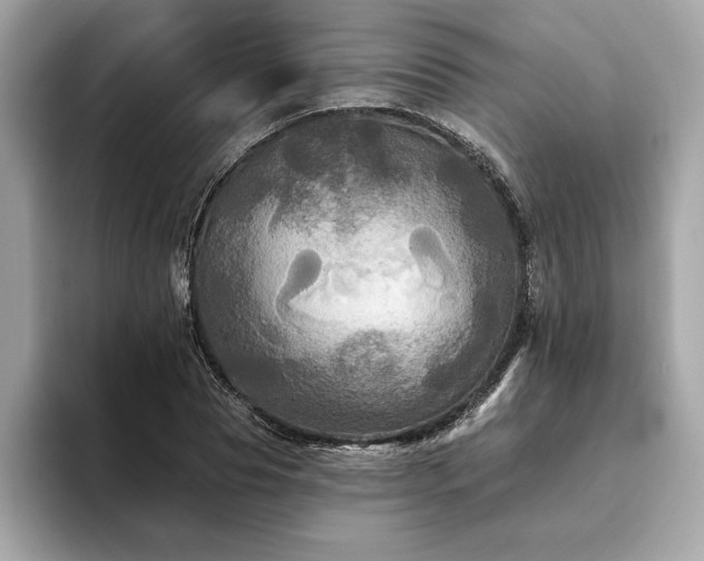 X0000093740929200710161136