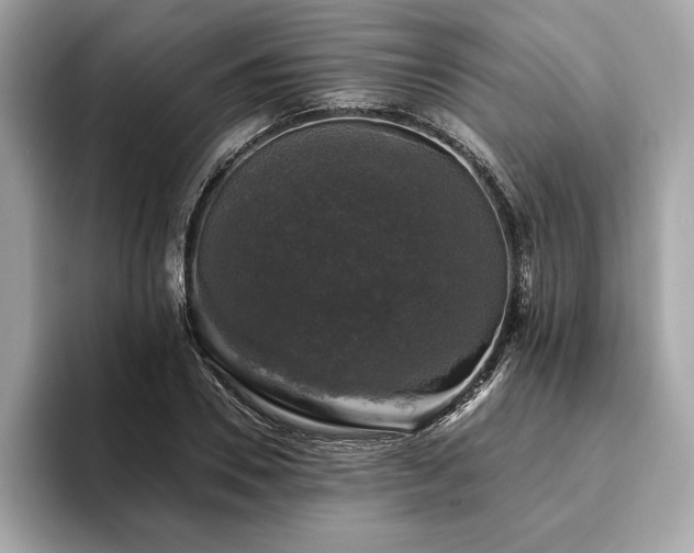 X0000093740930200710161136