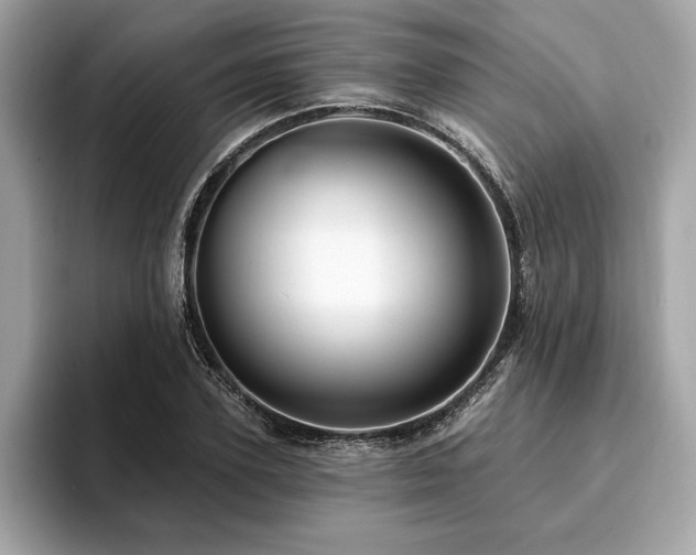X0000093740931200710161136