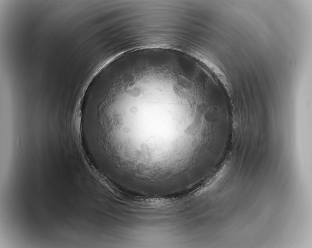 X0000093740933200710161136