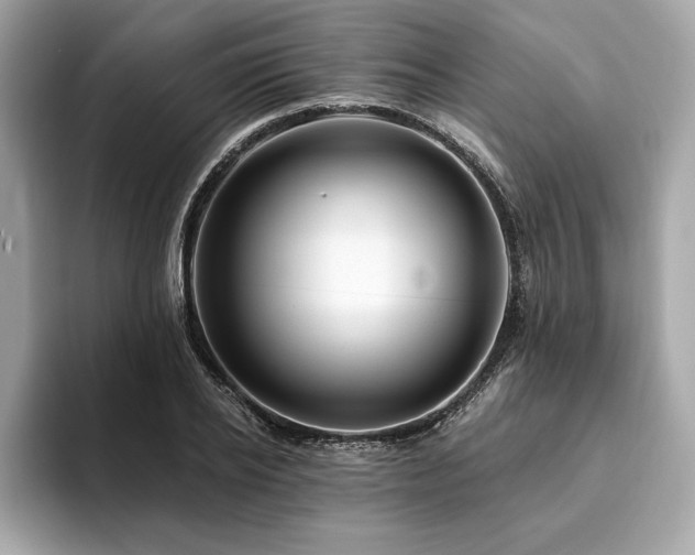 X0000093740934200710161136