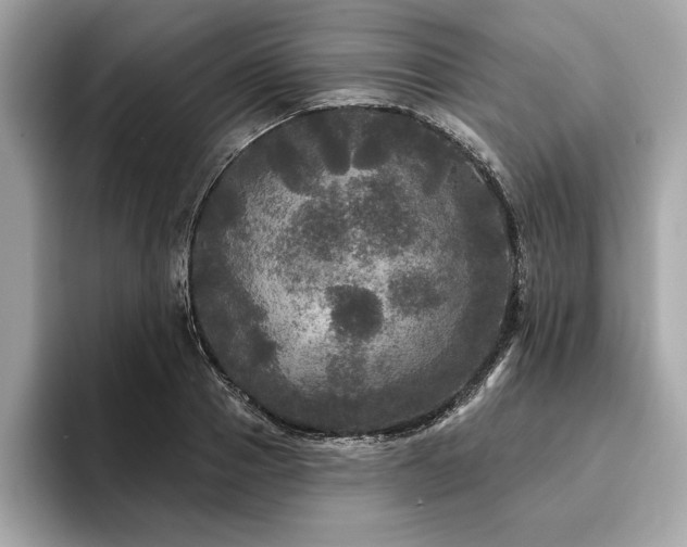 X0000093740937200710161136