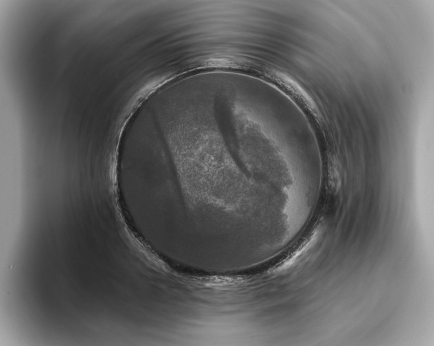 X0000093740938200710161136