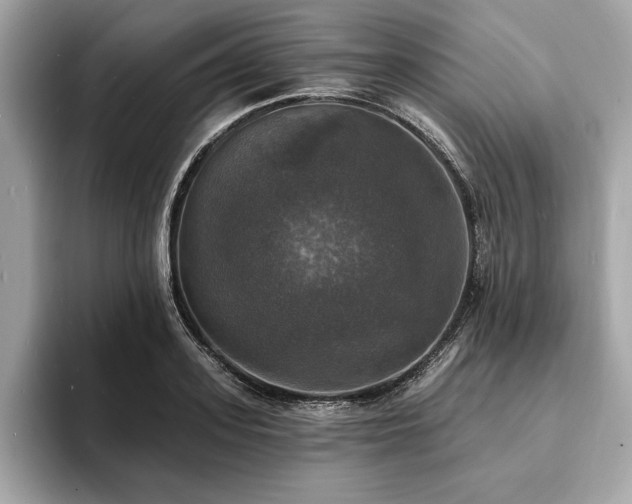 X0000093740939200710161136