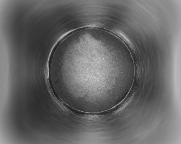X0000093740940200710161136