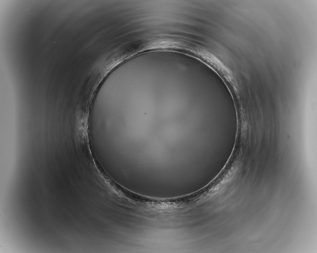 X0000093740945200710161136