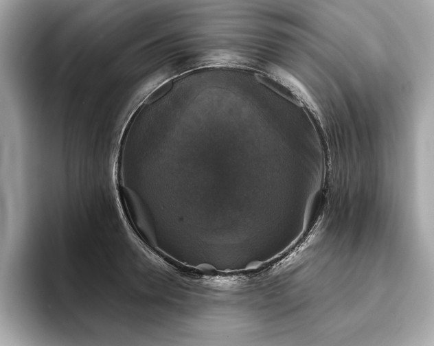 X0000093740946200710161136
