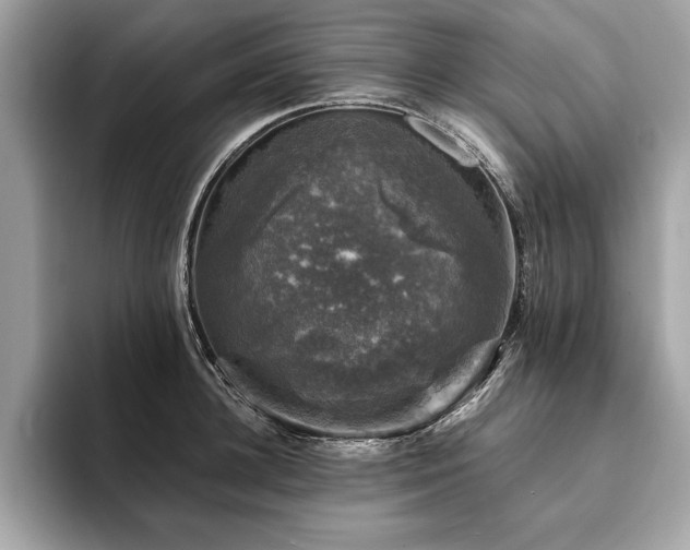 X0000093740948200710161136