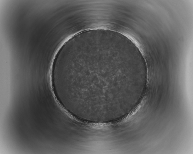 X0000093740949200710161136