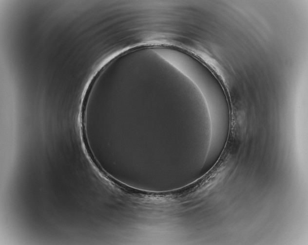 X0000093740951200710161136