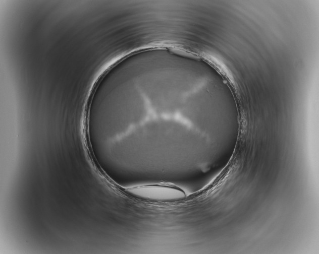 X0000093740952200710161136