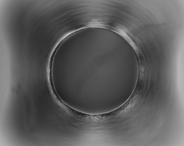 X0000093740955200710161136