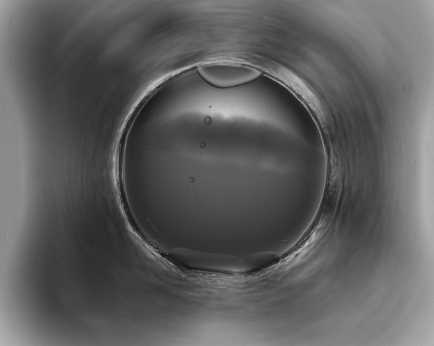 X0000093740958200710161136