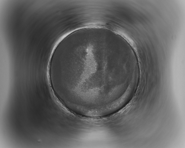 X0000093740960200710161136