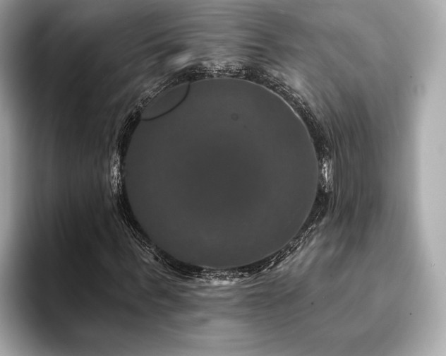 X0000093740963200710161136