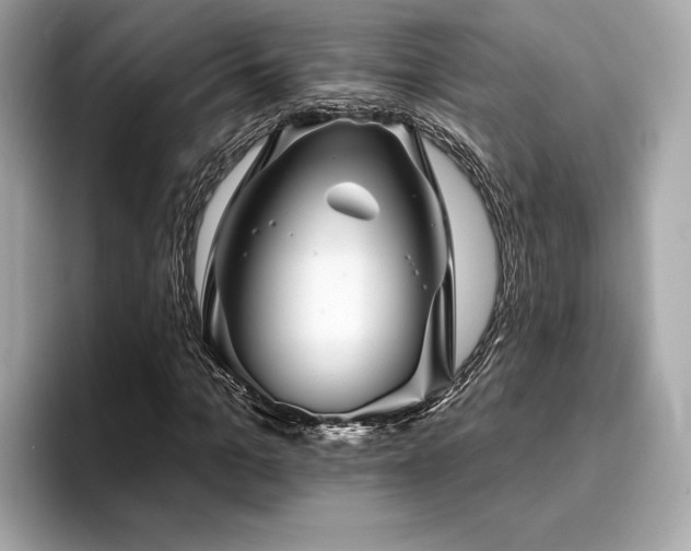 X0000093740965200710161136