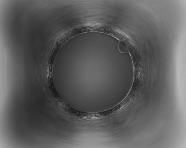 X0000093740966200710161136