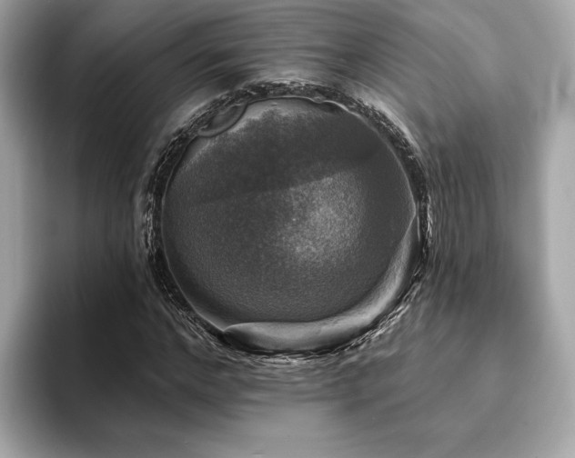 X0000093740968200710161136