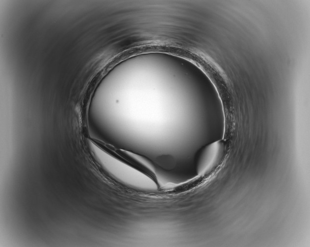 X0000093740969200710161136