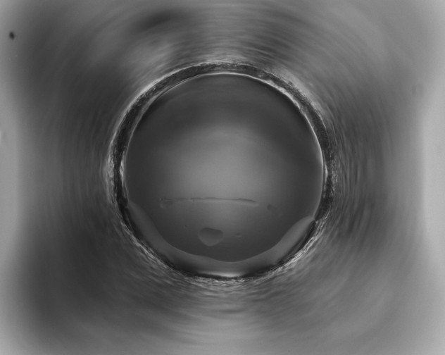 X0000093740975200710161136