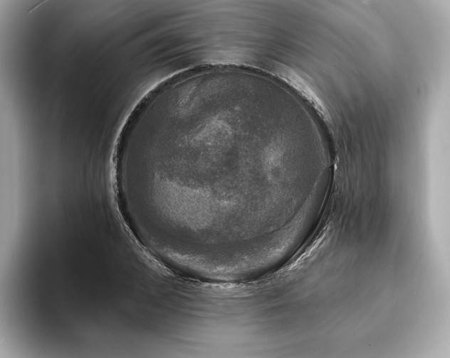 X0000093740976200710161136
