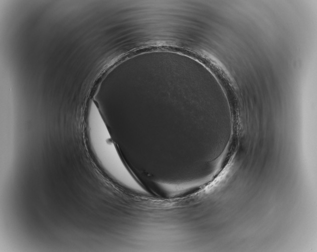 X0000093740977200710161136