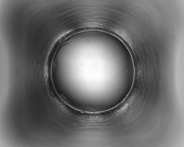 X0000093740979200710161136