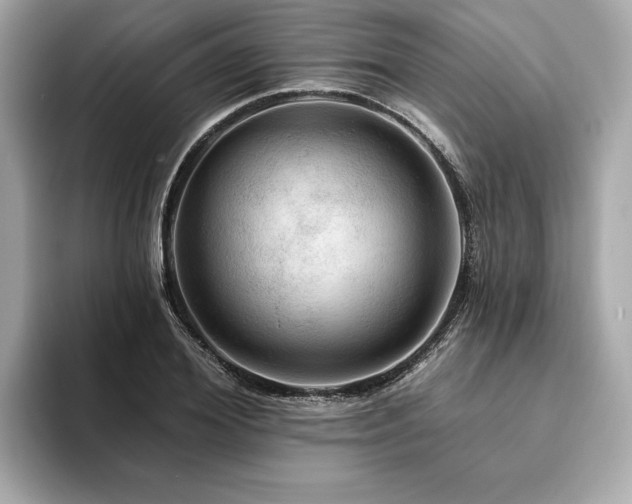 X0000093740980200710161136