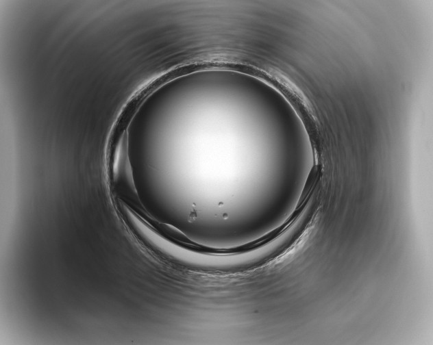 X0000093740981200710161136