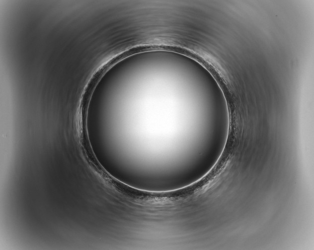 X0000093740982200710161136