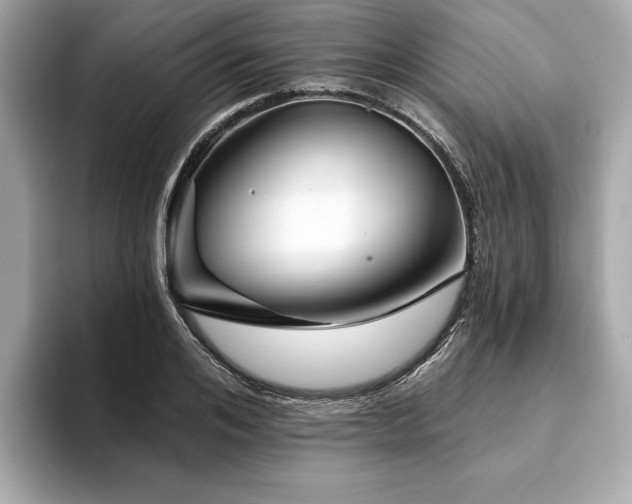 X0000093740984200710161136