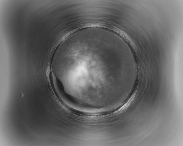 X0000093740985200710161136