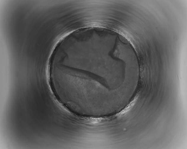X0000093740987200710161136