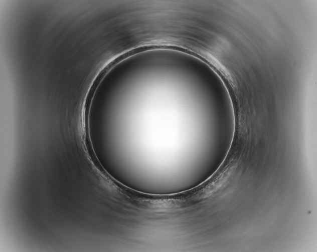 X0000093740988200710161136
