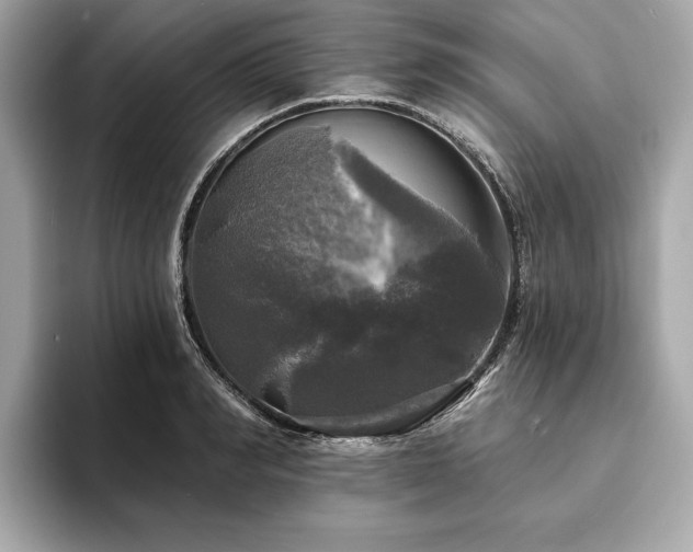 X0000093740990200710161136