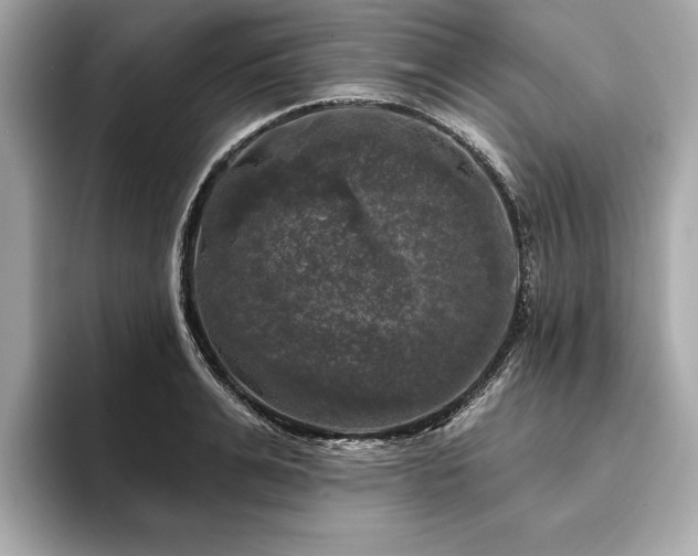 X0000093740991200710161136