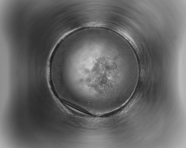 X0000093740992200710161136